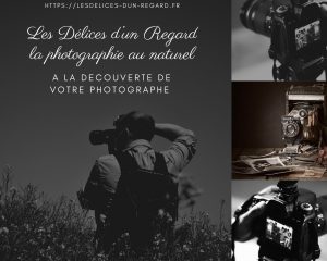 - Sébastien ISACH - Votre photographe - Les Délices d'un Regard, la photographie au Naturel -